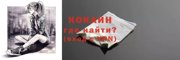 амф Кукмор
