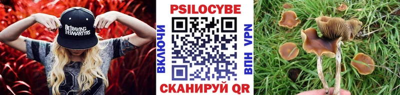Галлюциногенные грибы мухоморы  Купить где  Бирск 